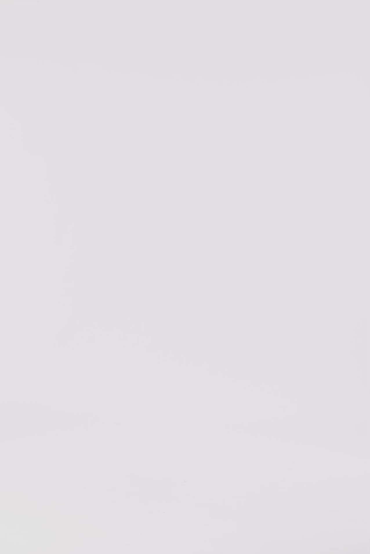 Lollys Laundry RootLL Bag Bag 70 Multi